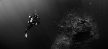 A Deep Dive Into The Narcissist’s False Self