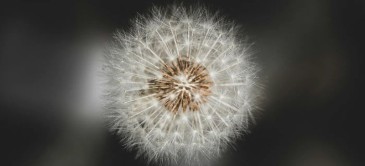 Un narcissique peut-il devenir empathique ?