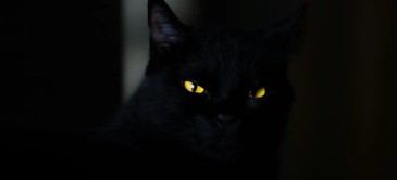 The Lurking Danger Of The Aware Narcissist