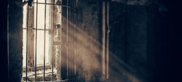 Breaking Free Of A Trauma Bond With A Narcissist