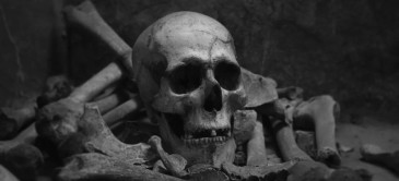 Can Narcissistic Abuse Kill You?