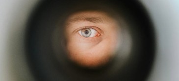 Paranoia: An Ally Turned Tormentor